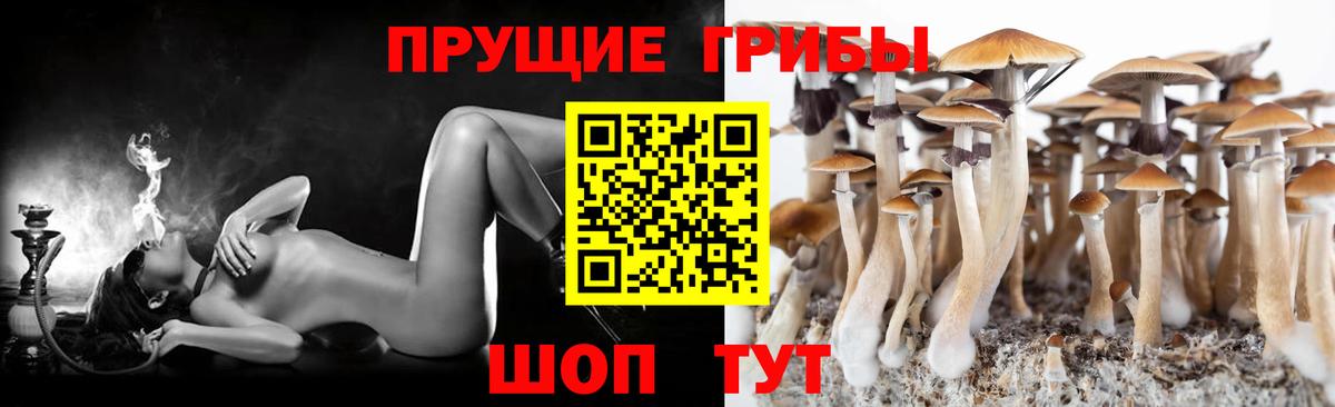 Ипатово  Галлюциногенные грибы прущие грибы  Вход с VPN 